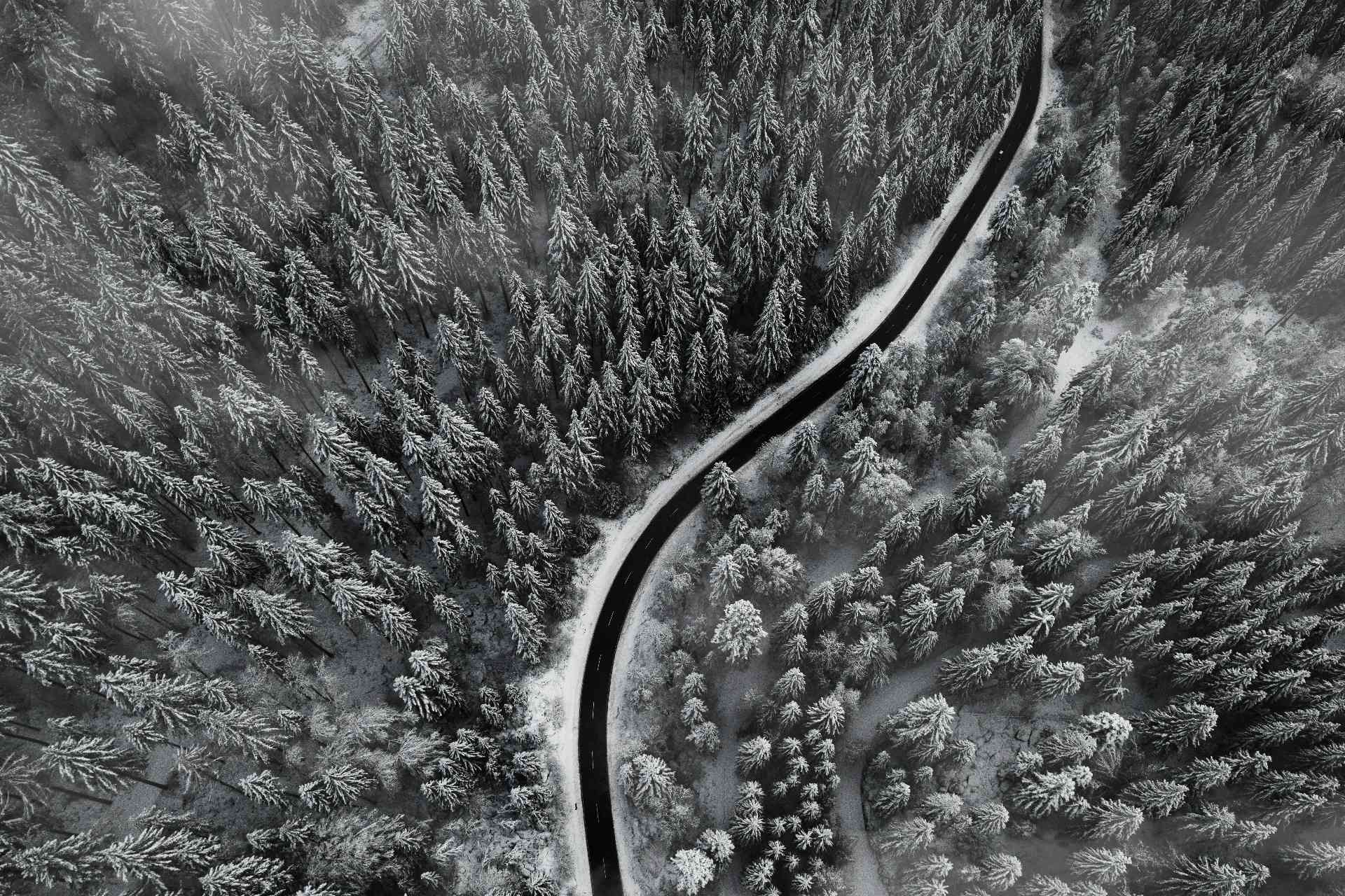 Letecký pohled na zasněžený jehličnatý les protnutý klikatou silnicí - symbol systematického řízení a compliance.
